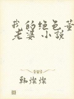 我的绝色董事长老婆 小说