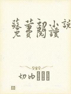 苏若初小说全文免费阅读封面