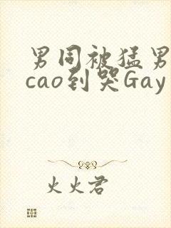 男同被猛男房东cao到哭Gay