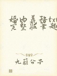 婚内义务txt完整版笔趣阁封面
