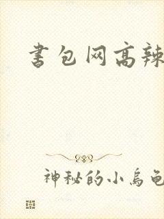 书包网高辣文封面