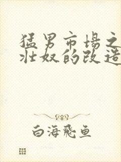 猛男市场之肌肉壮奴的改造