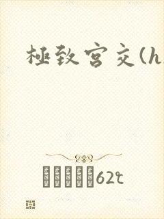 极致宫交(h)封面