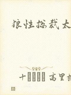 狼性总裁太凶猛