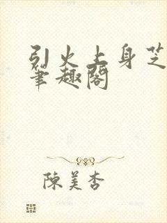 引火上身芝麻糖笔趣阁