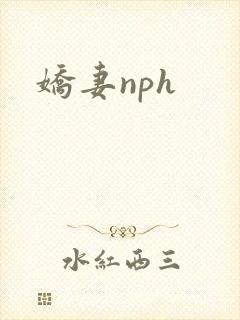 娇妻nph