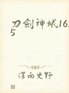 刀剑神域16.5封面