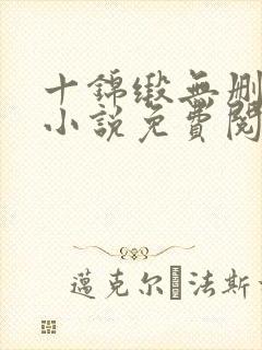 十锦缎无删原著小说免费阅读