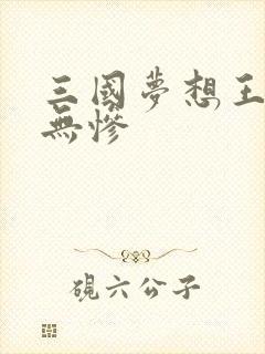 三国梦想王元姬无惨封面