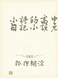 小诗的高中成长日记小说免费阅读封面