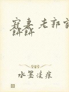 宠妻 老郭家的饼饼