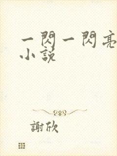 一闪一闪亮星星小说