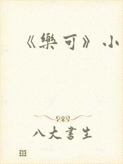 《乐可》小说封面