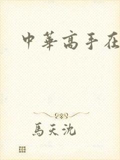 中华高手在异世