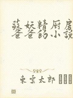 苏妖精厨房爹爹爸爸的小说