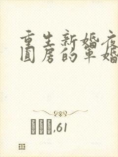 重生新婚夜正在圆房的军婚