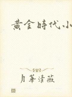 黄金时代小说