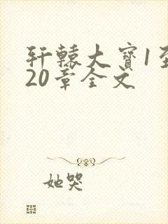 轩辕大宝1至720章全文封面