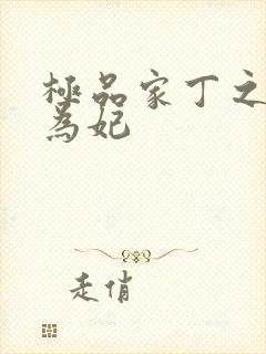 极品家丁之册母为妃