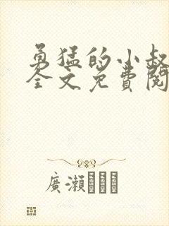 勇猛的小叔小说全文免费阅读