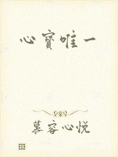 心宝唯一