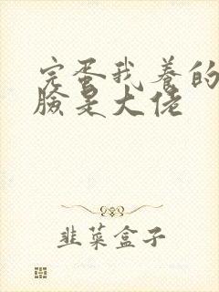 完蛋我养的小白脸是大佬