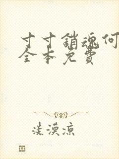 寸寸销魂何生祥全本免费封面