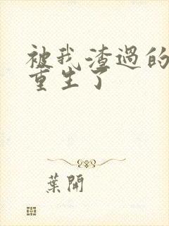 被我渣过的男主重生了封面