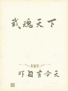 武魂天下封面