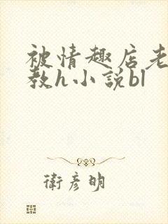 被情趣店老板调教h小说bl封面