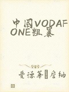 中国VODAFONE粗暴
