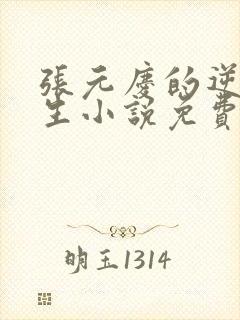 张元庆的逆袭人生小说免费阅读封面