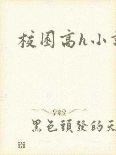 校园高h小说