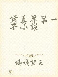 修真界第一病秧子小说