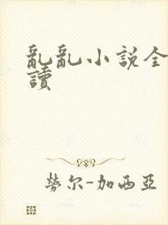 乱乱小说全文阅读