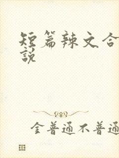 短篇辣文合集小说