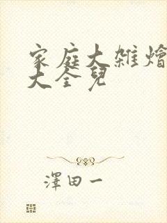 家庭大杂烩小说大全儿