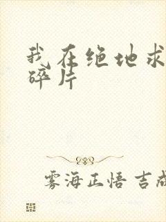 我在绝地求生捡碎片