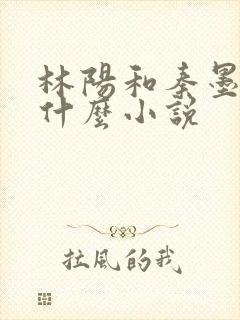 林阳和秦墨浓是什么小说封面