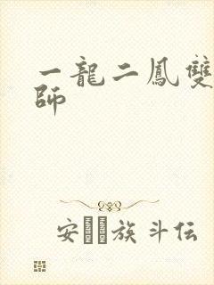 一龙二凤双飞老师