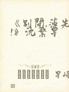 《别闹,薄先生!》沈繁星