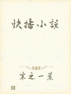 快播小说封面