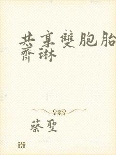 共享双胞胎齐娜齐琳封面