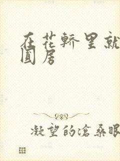 在花轿里就开始圆房