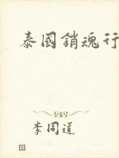 泰国销魂行封面