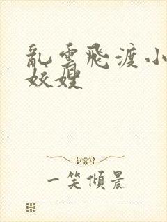 乱云飞渡小说之姣嫂