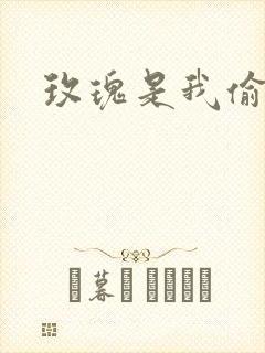 玫瑰是我偷的封面