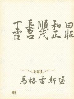 丁长顺和田晓兰霍吕茂正版