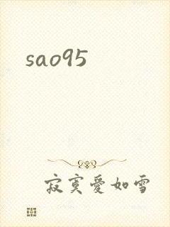 sao95封面
