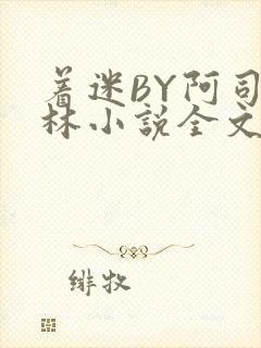 着迷BY阿司匹林小说全文免费阅读